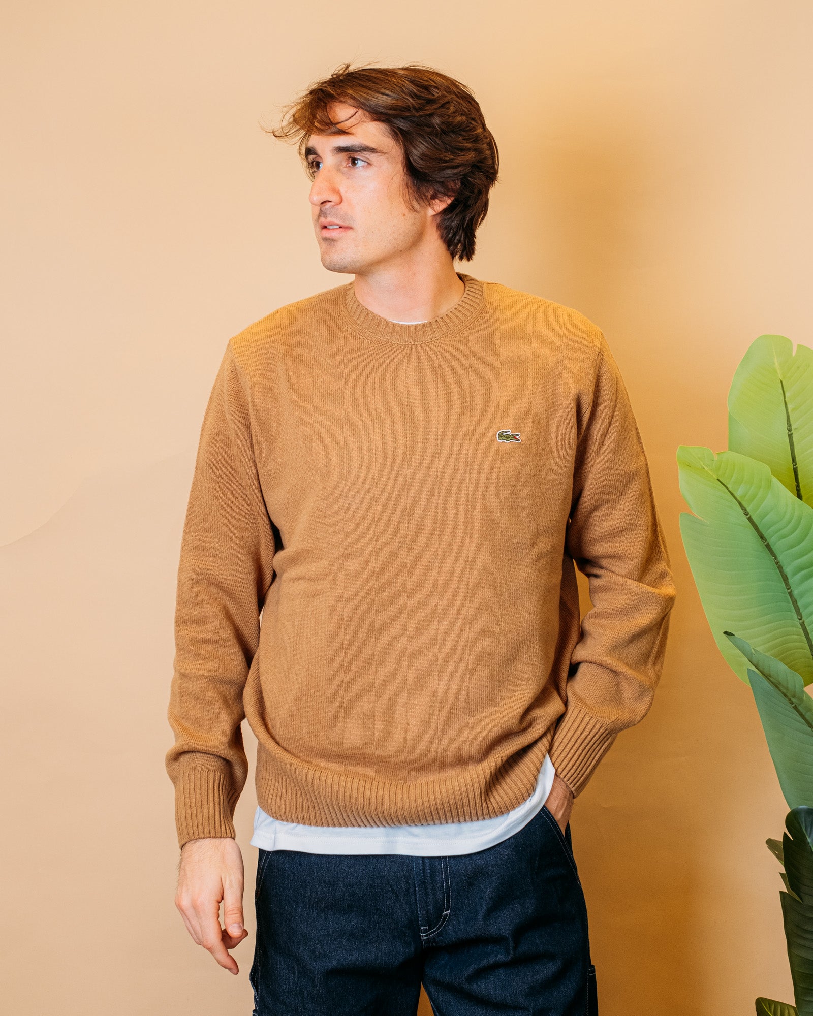 Maglia in lana Cardata AXAH2916 TUY Lacoste 