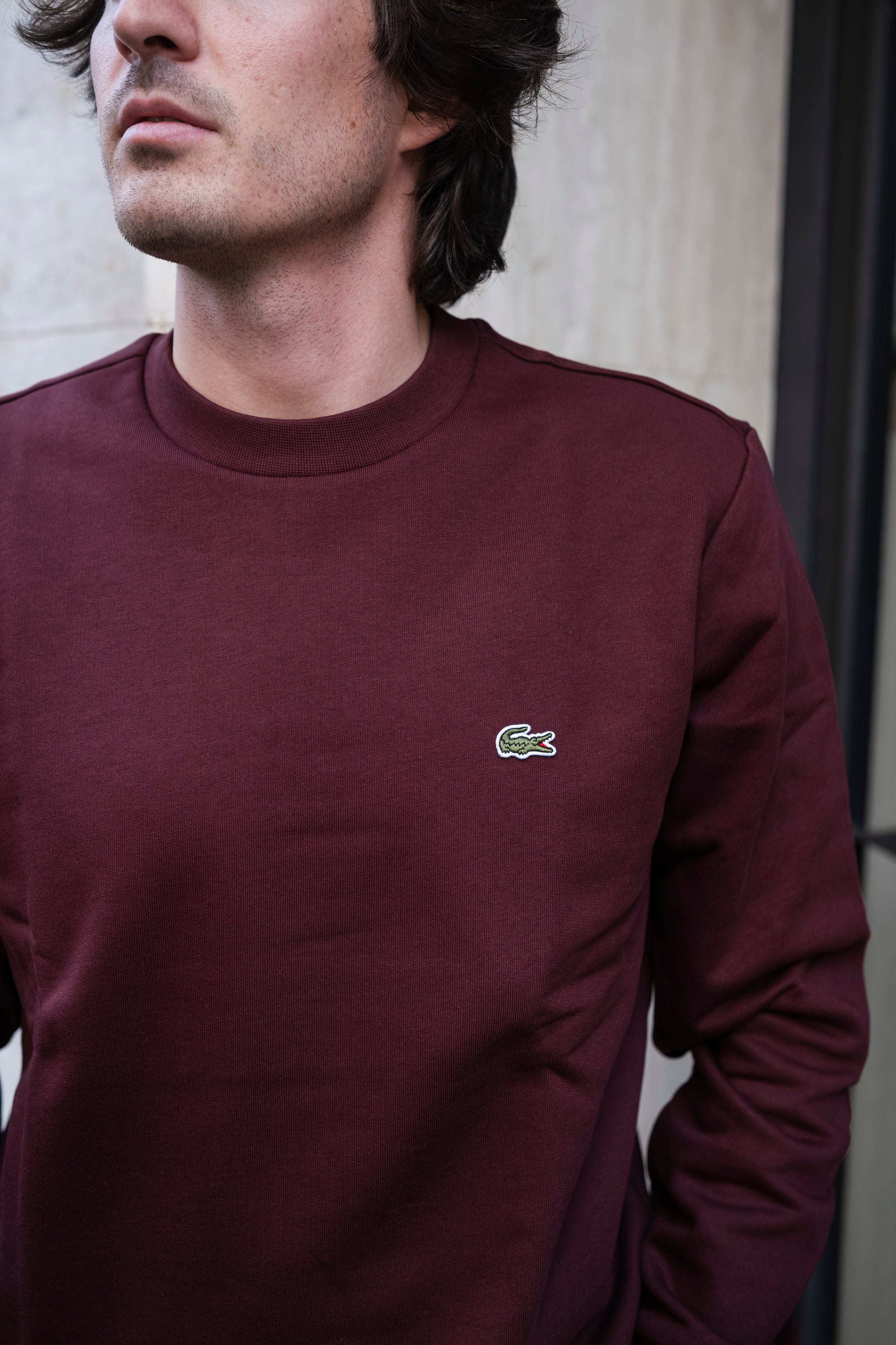 Felpa Girocollo SH9608BZD EXPRESSO Lacoste 