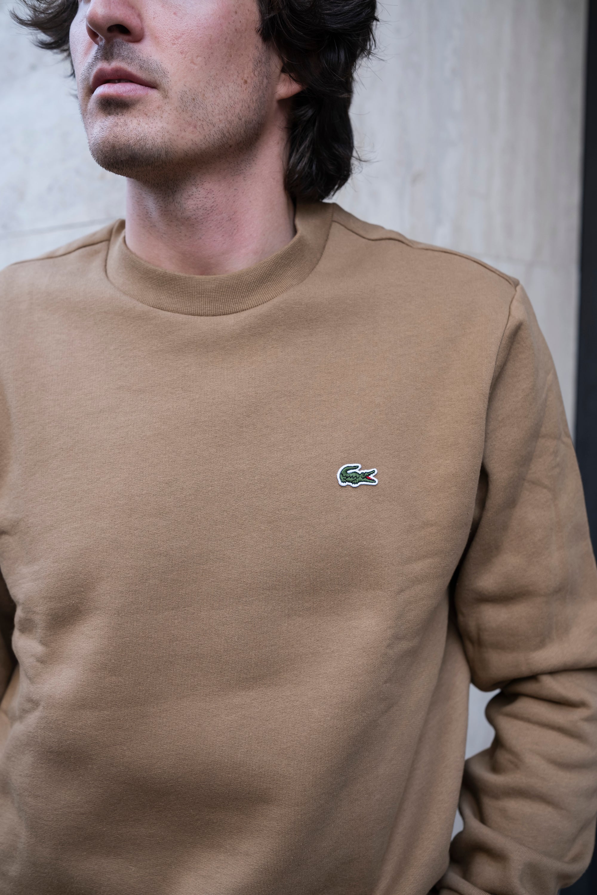 Felpa Girocollo SH9608SIX COOKIE Lacoste 