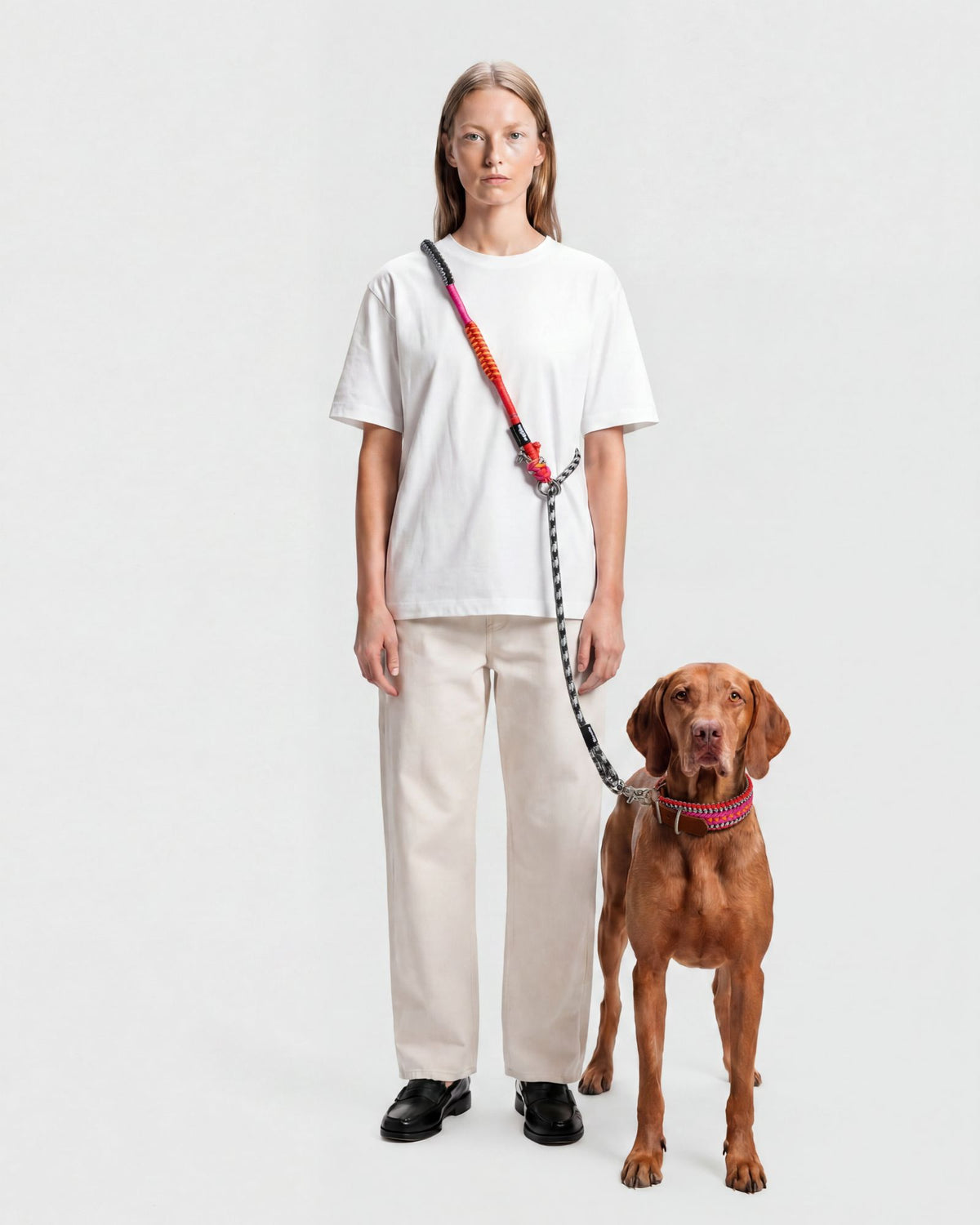 Guinzaglio Cane Sunset DOGLEASHSU SU Rodeo Family 