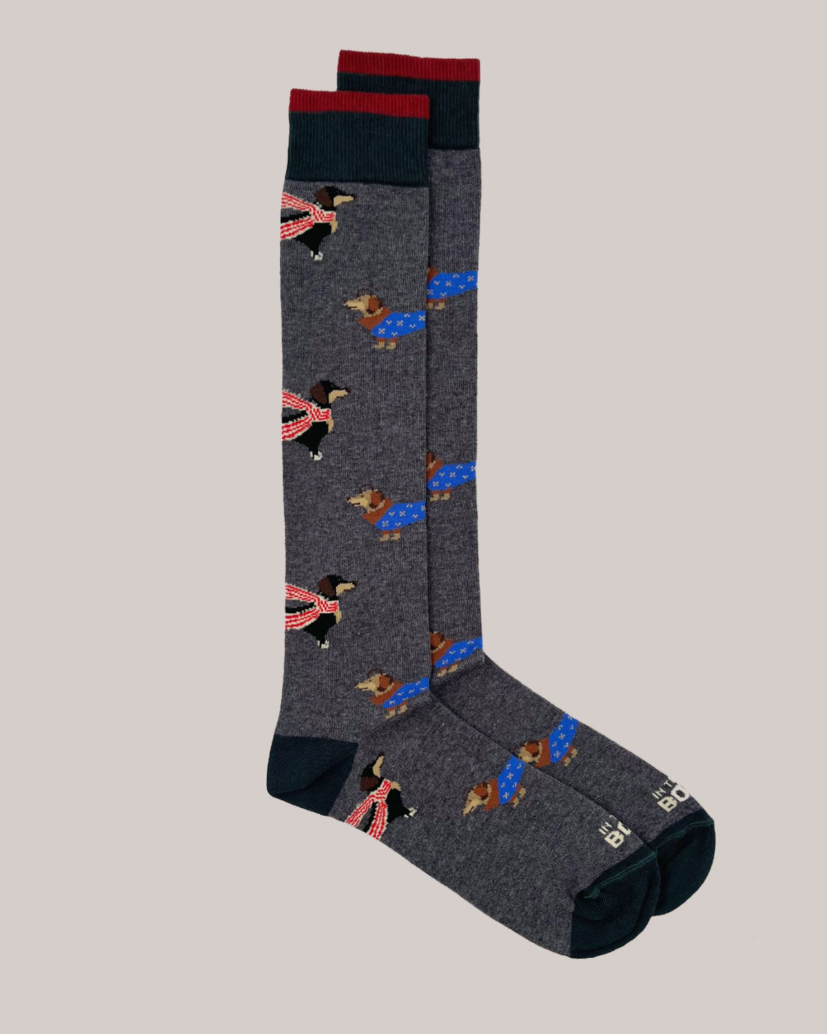 Calze Dog Bassotto Grigio Scuro FW010 0002 Sox in the Box 