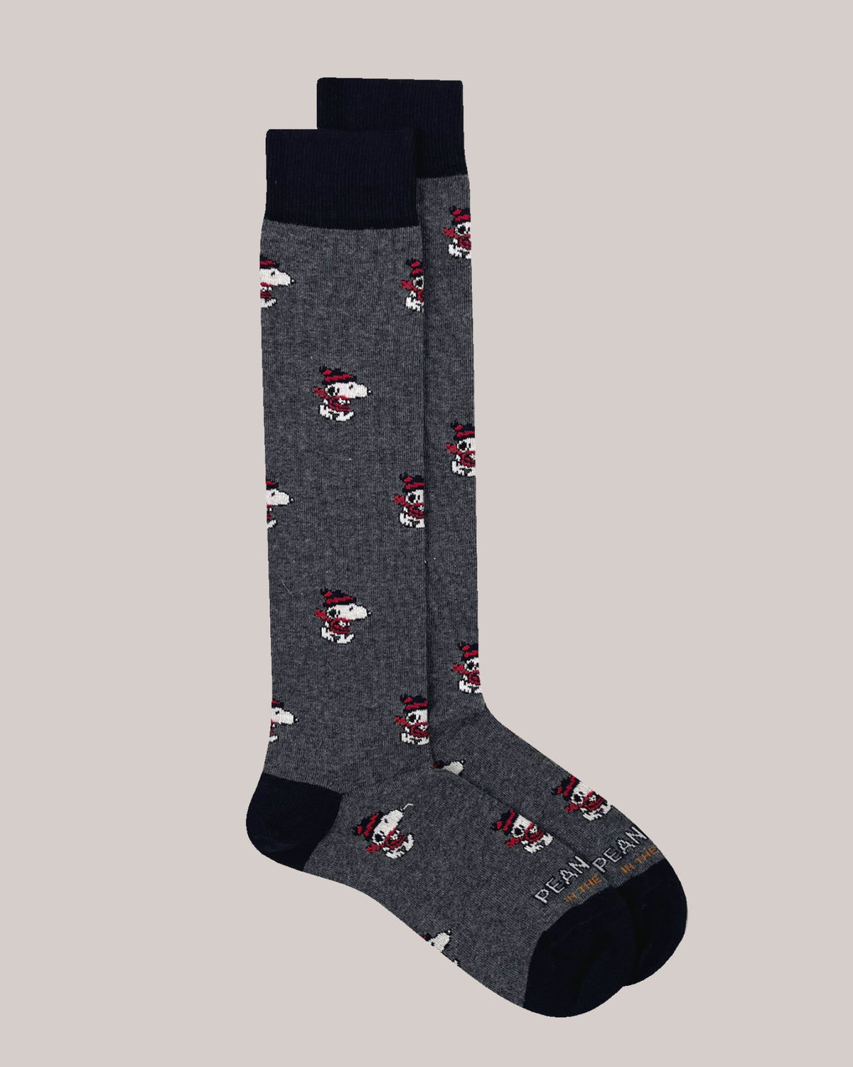Calze Snoopy Running Grigio Scuro FW038 0002 Sox in the Box 