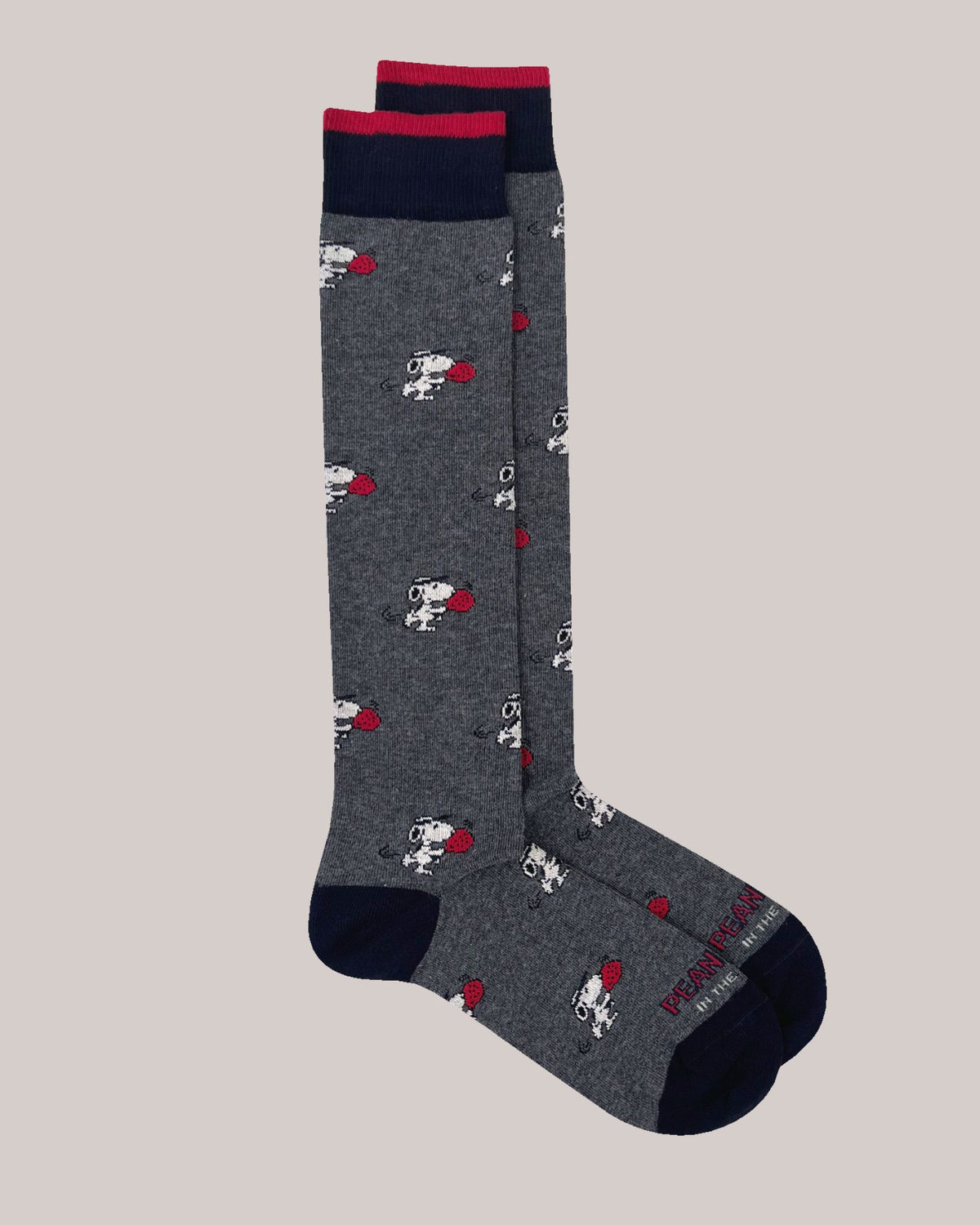 Calze Snoopy Paddle Grigio Scuro FW039 0002 Sox in the Box 