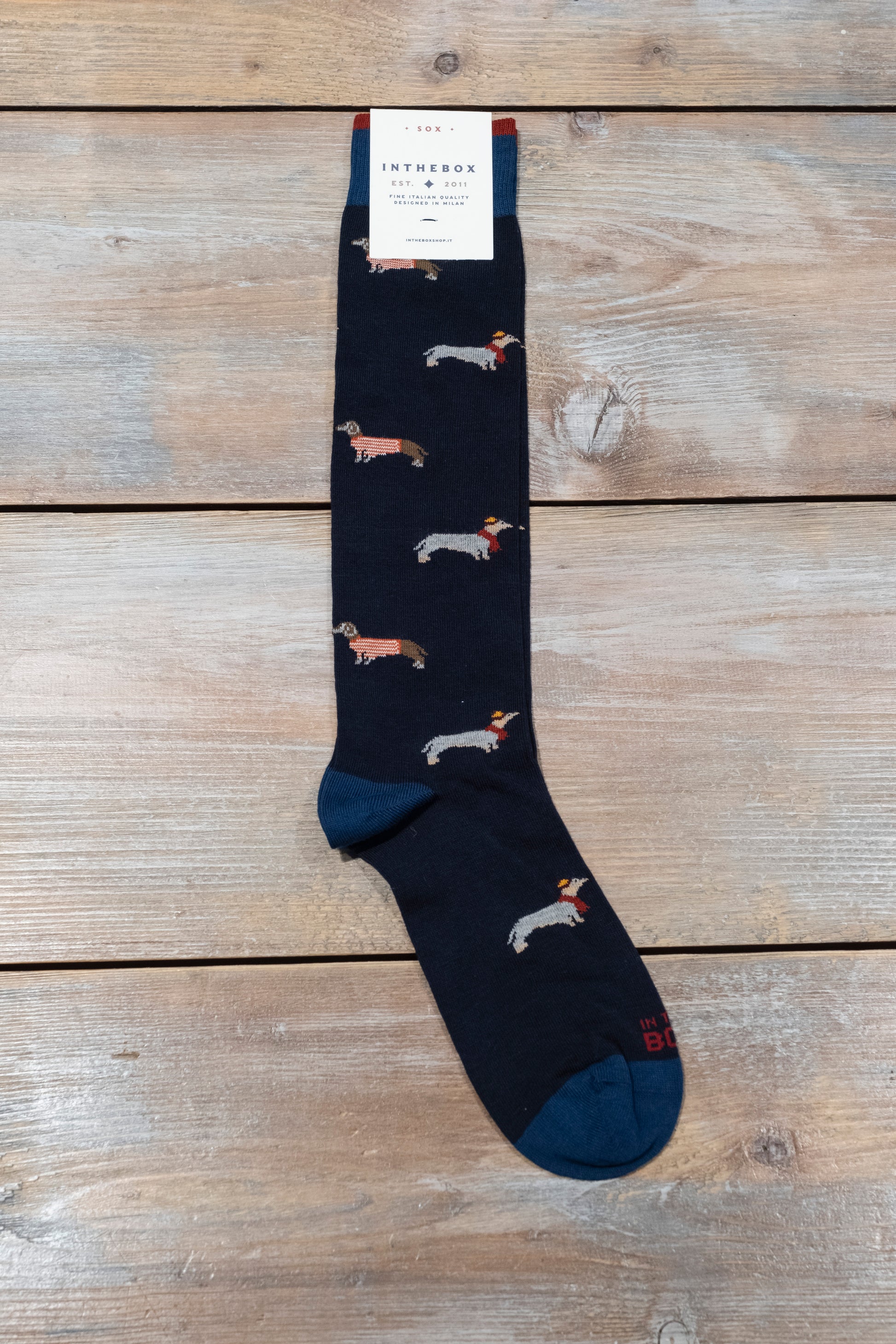 blu-sox-in-the-box-ai24-bassotto-dog-sox