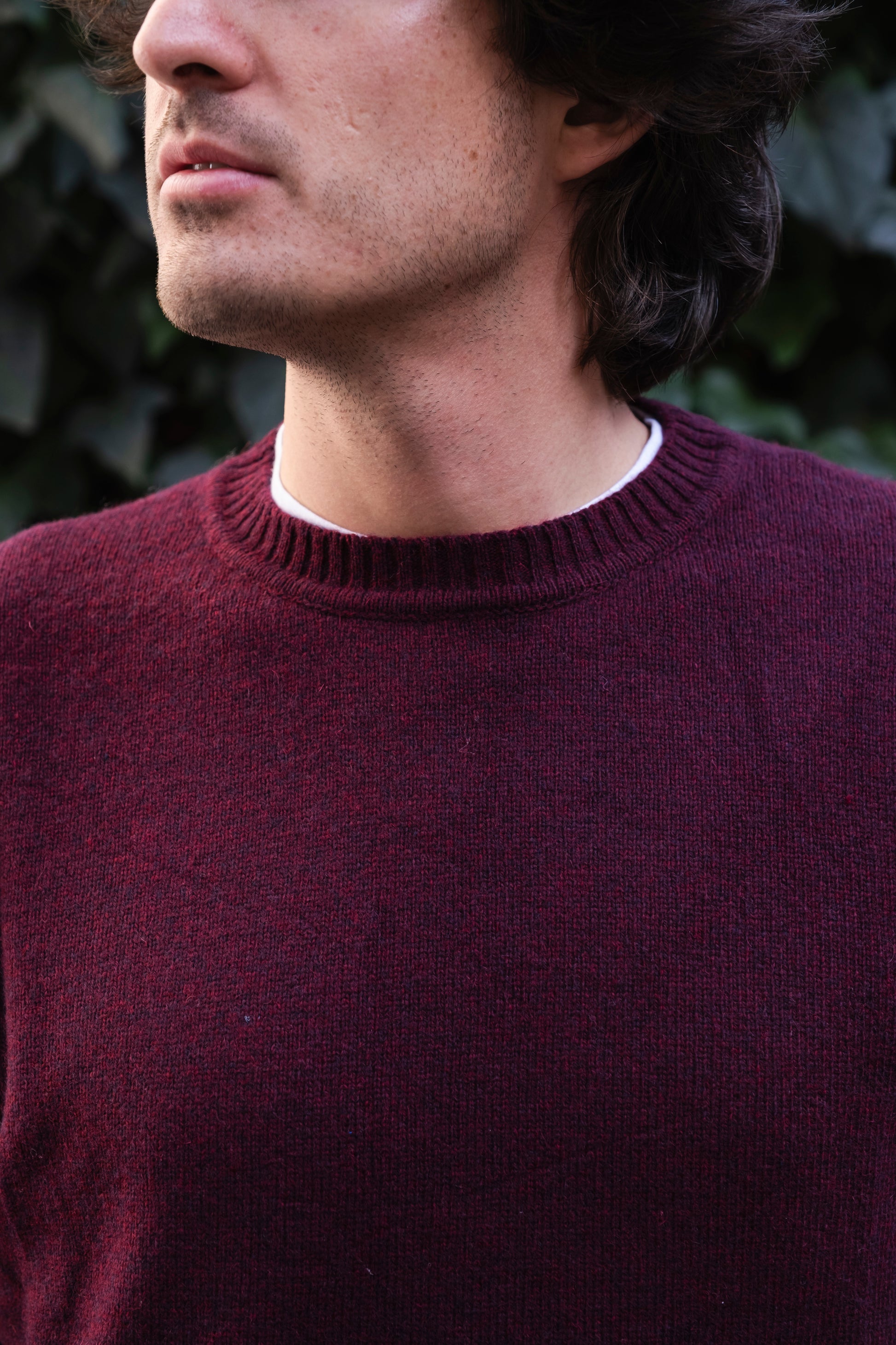 bordeaux-impure-ai24-round-neck-lambswool2