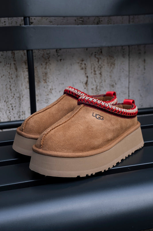 chestnut-ugg-ai24-tazz