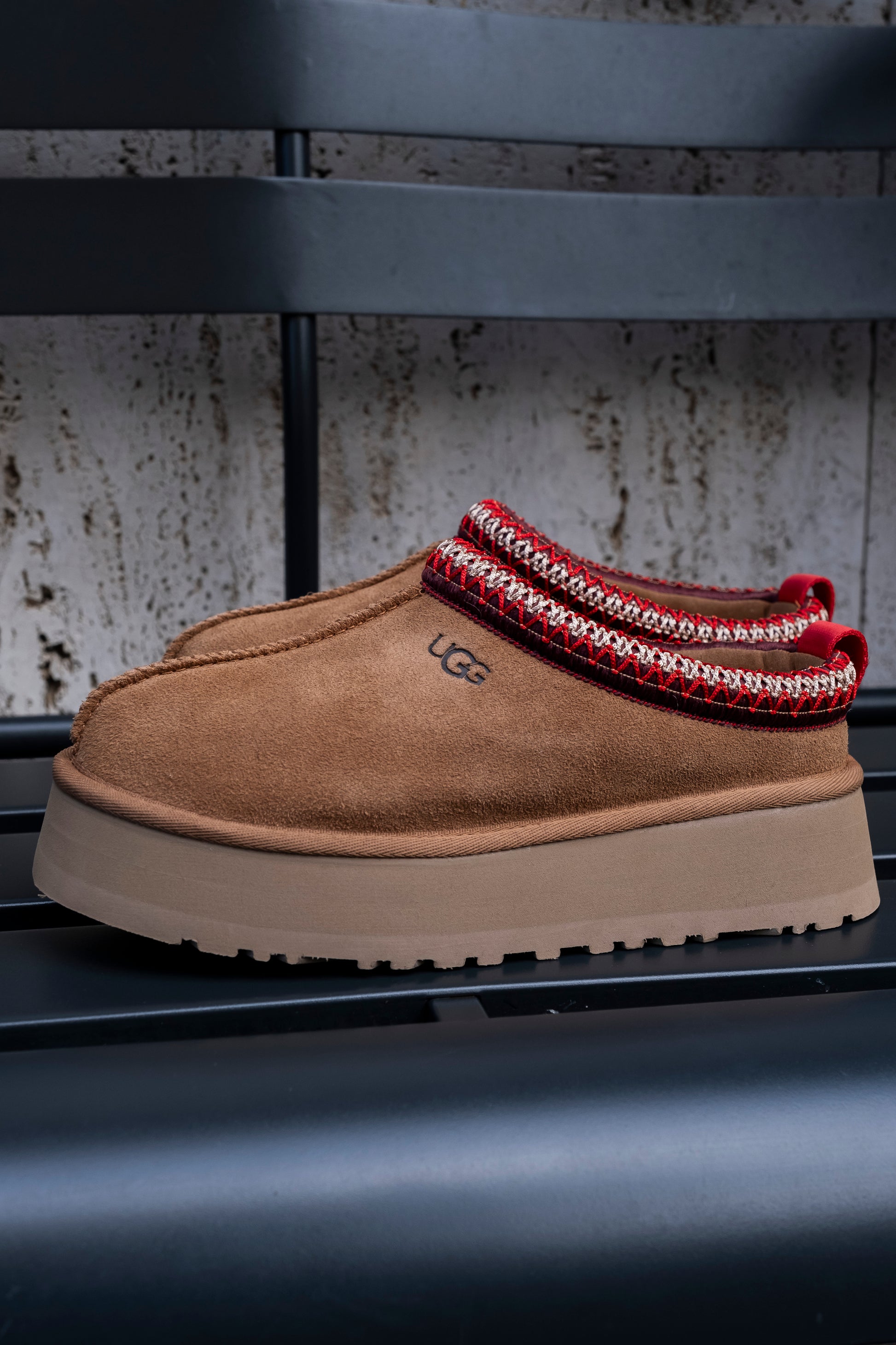 chestnut-ugg-ai24-tazz2