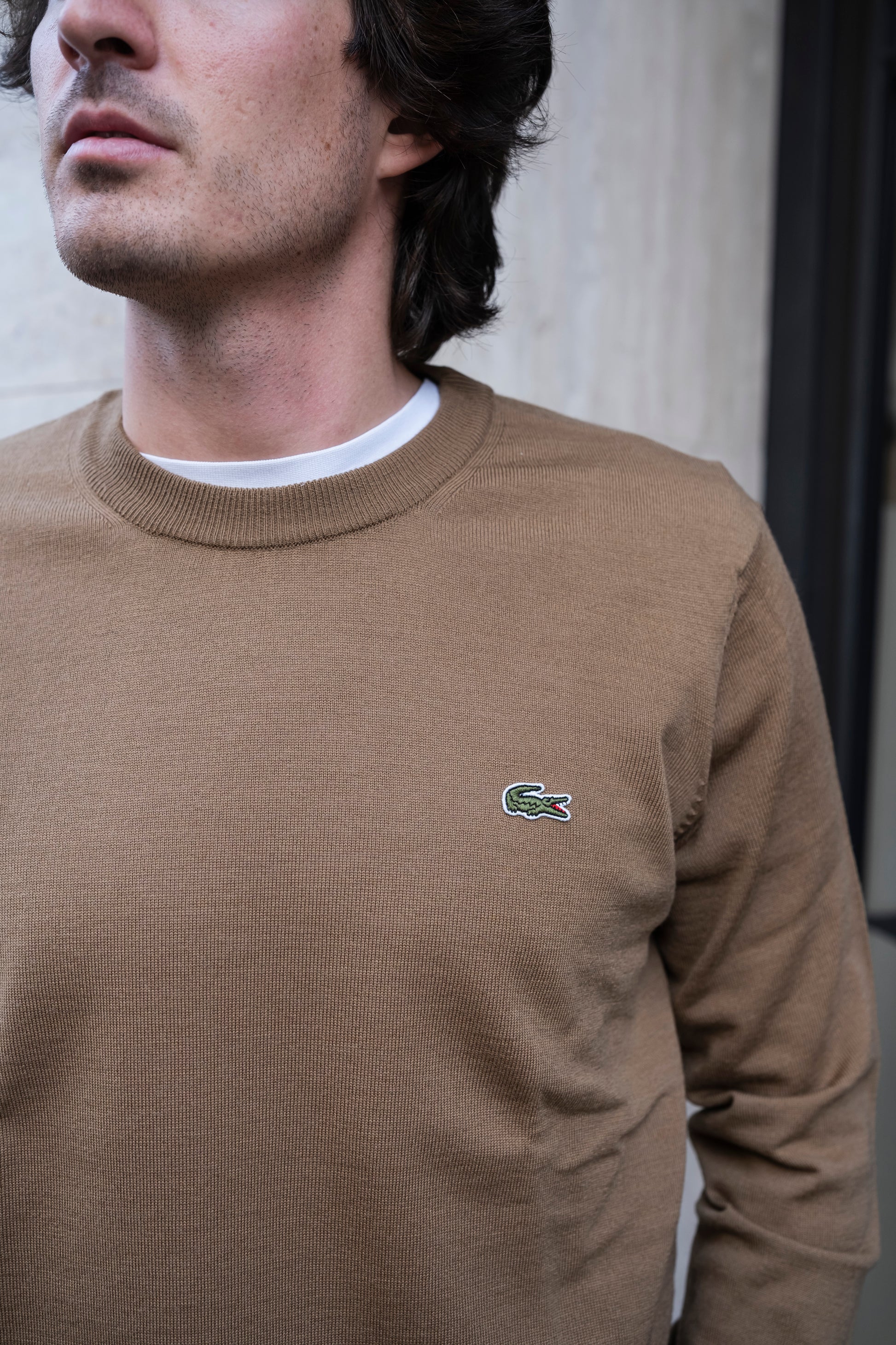 cookie-lacoste-ai24-pullover2