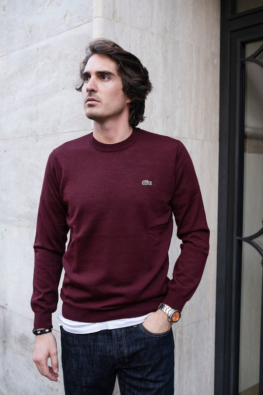 expresso-lacoste-ai24-pullover1