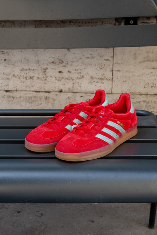 gaffi-store-1966-betsca_hazgrn_gum3-adidas-ai24-gazelle-indoor-3