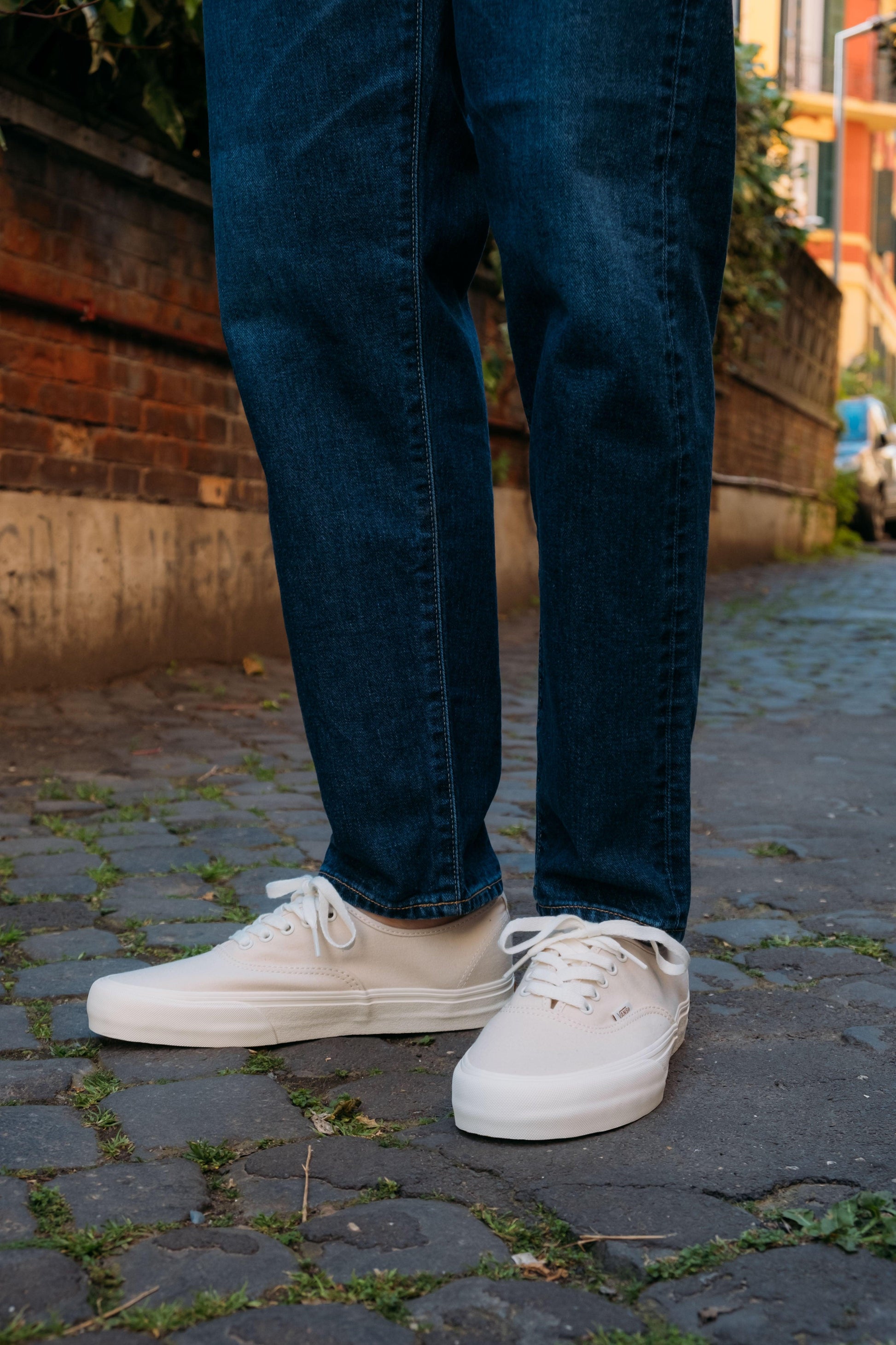 Gaffi Store 1966 Authentic Turtledove/Mars Vans