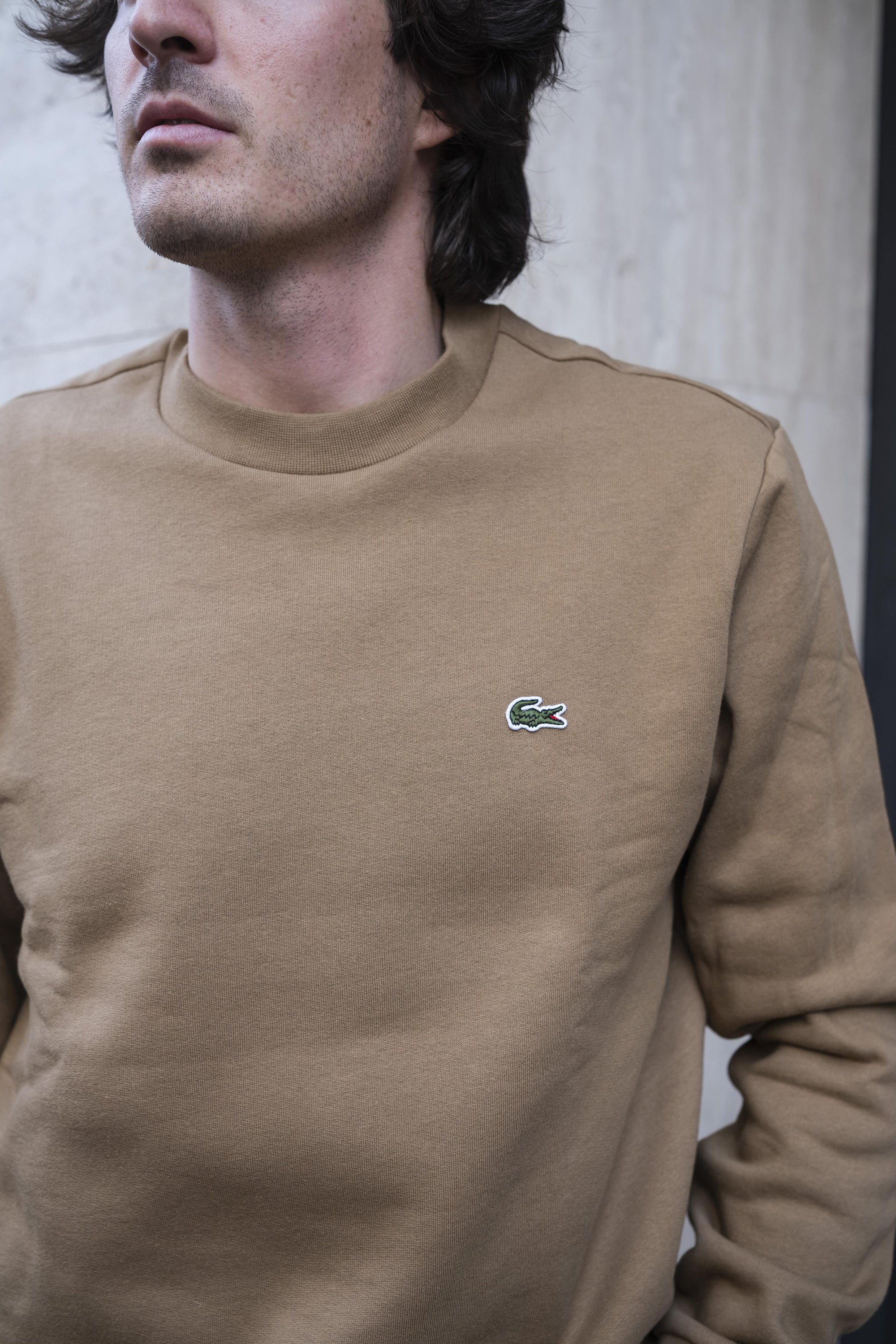 Felpa Girocollo SH9608SIX COOKIE Lacoste 