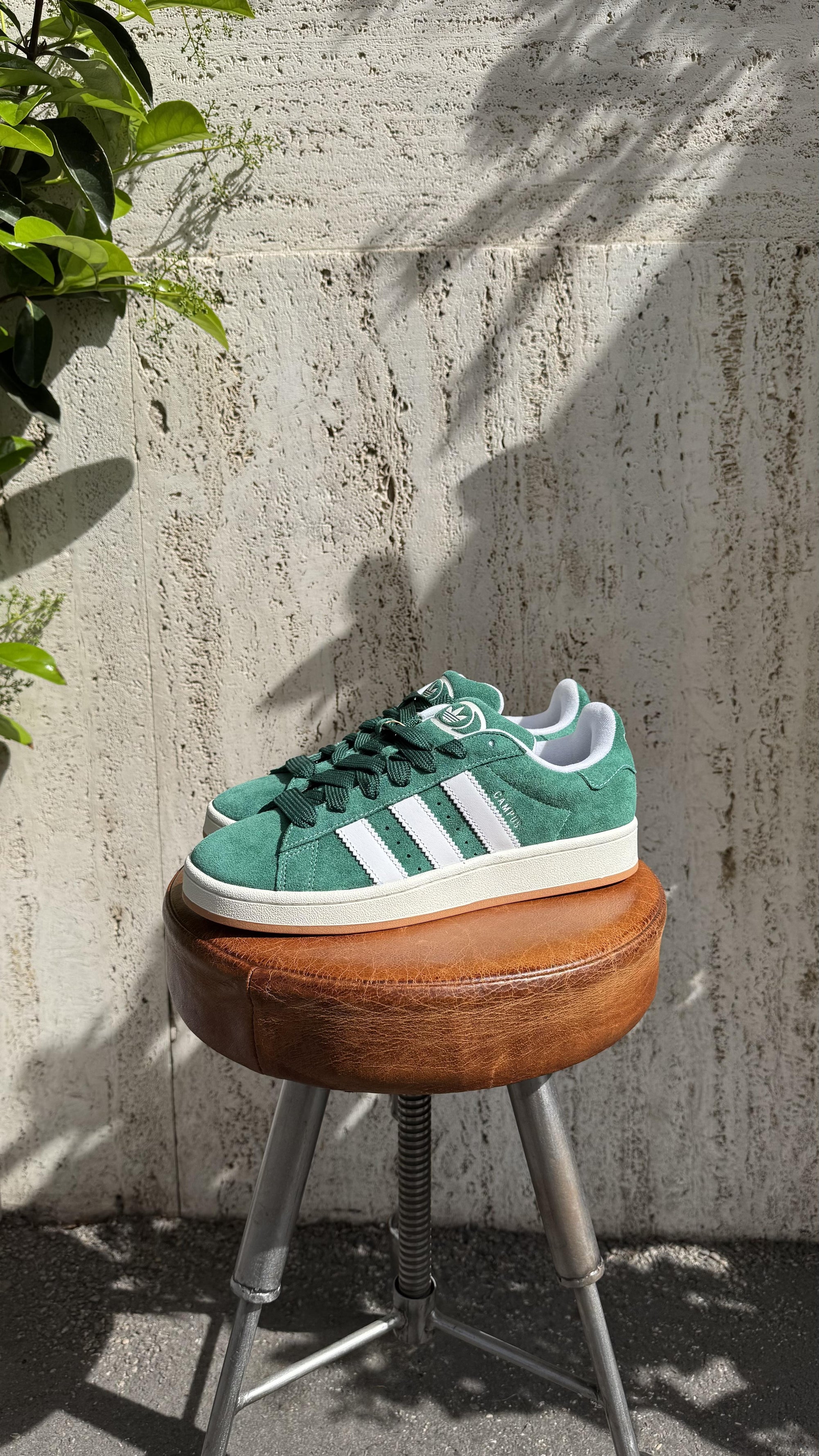 Campus 00s H03472 DRKGRN-FTWWHT-OWHITE Adidas 