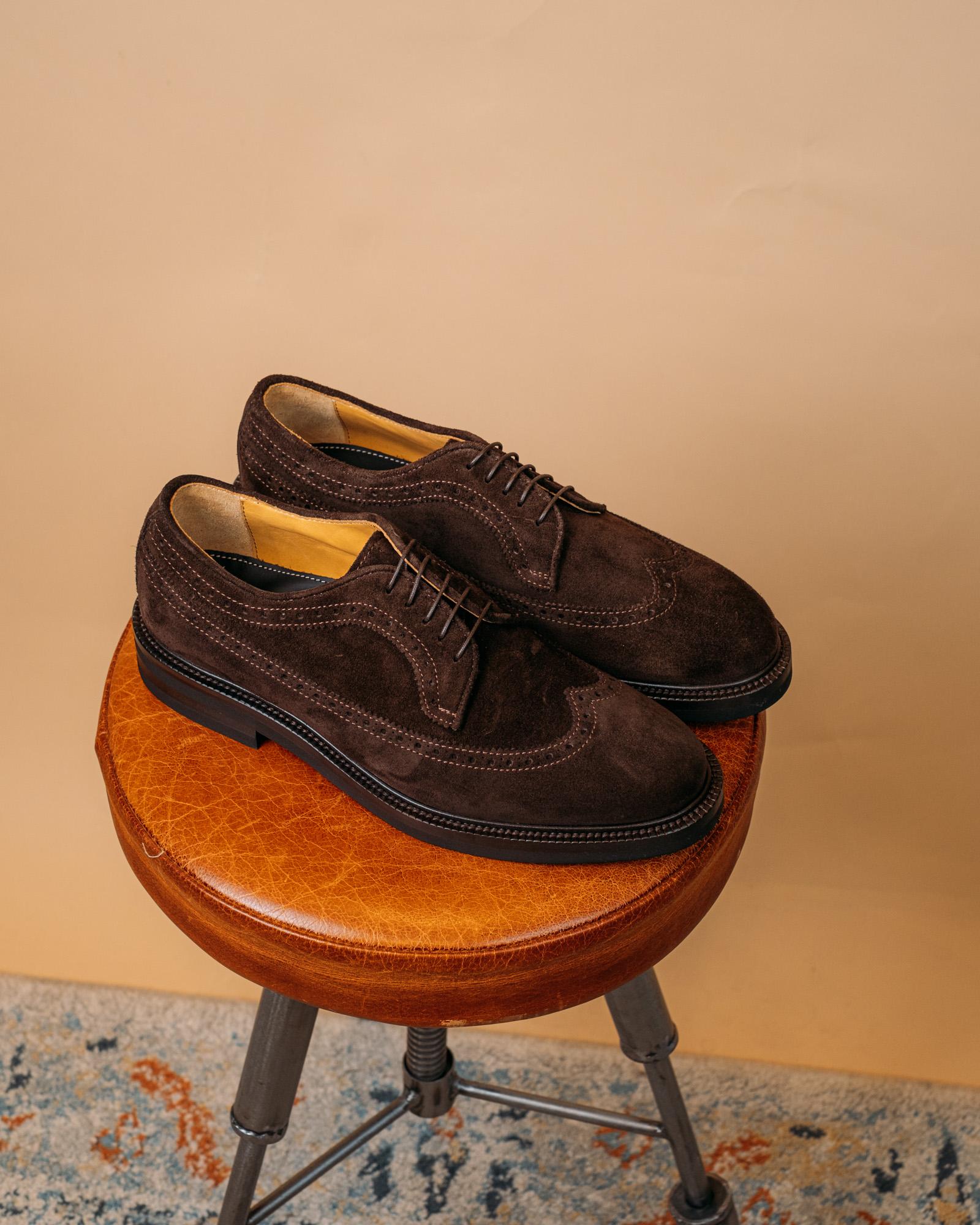 Derby Brogue in Camoscio 4051 MO Crisci X Gaffi 