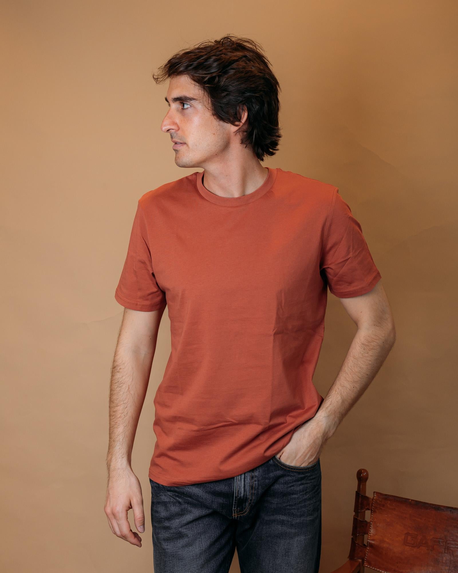 T-shirt Travis Tee Heritage Brown STTU169 C730 Gaffi 