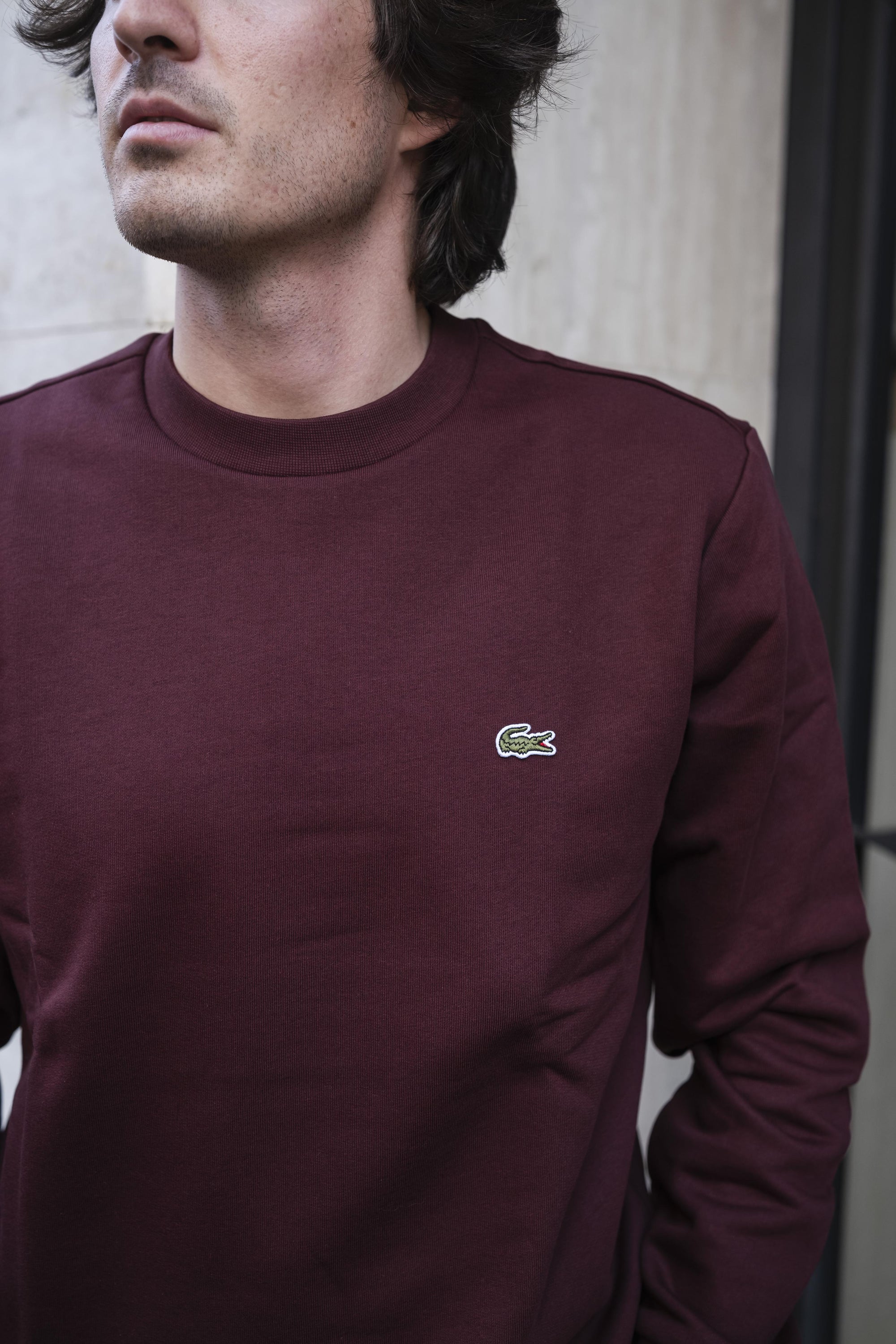 Felpa Girocollo SH9608BZD EXPRESSO Lacoste