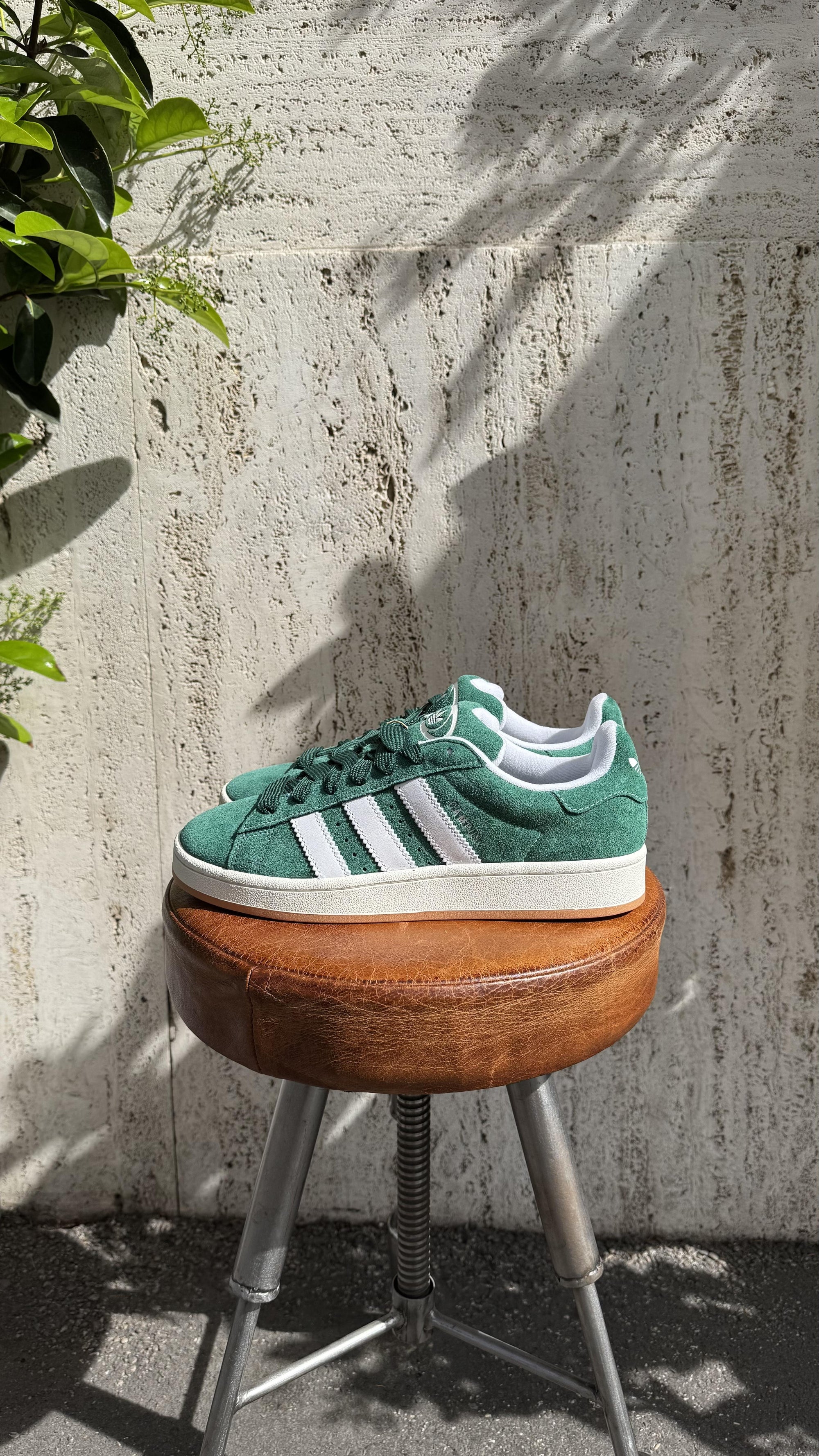 Campus 00s H03472 DRKGRN-FTWWHT-OWHITE Adidas 