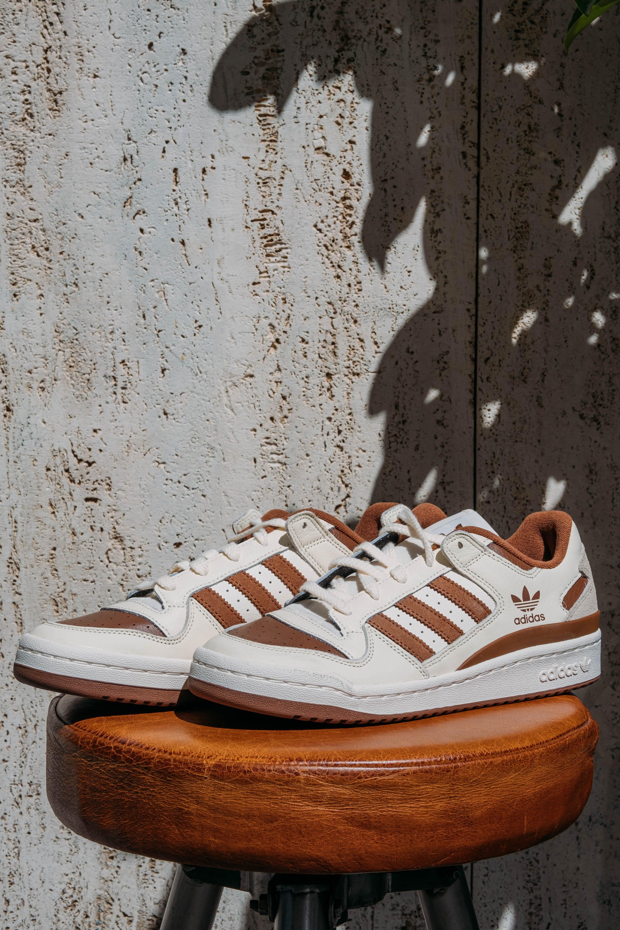 Forum low-top IG3900 CREWHT-PREBRN-WONBEI Adidas 