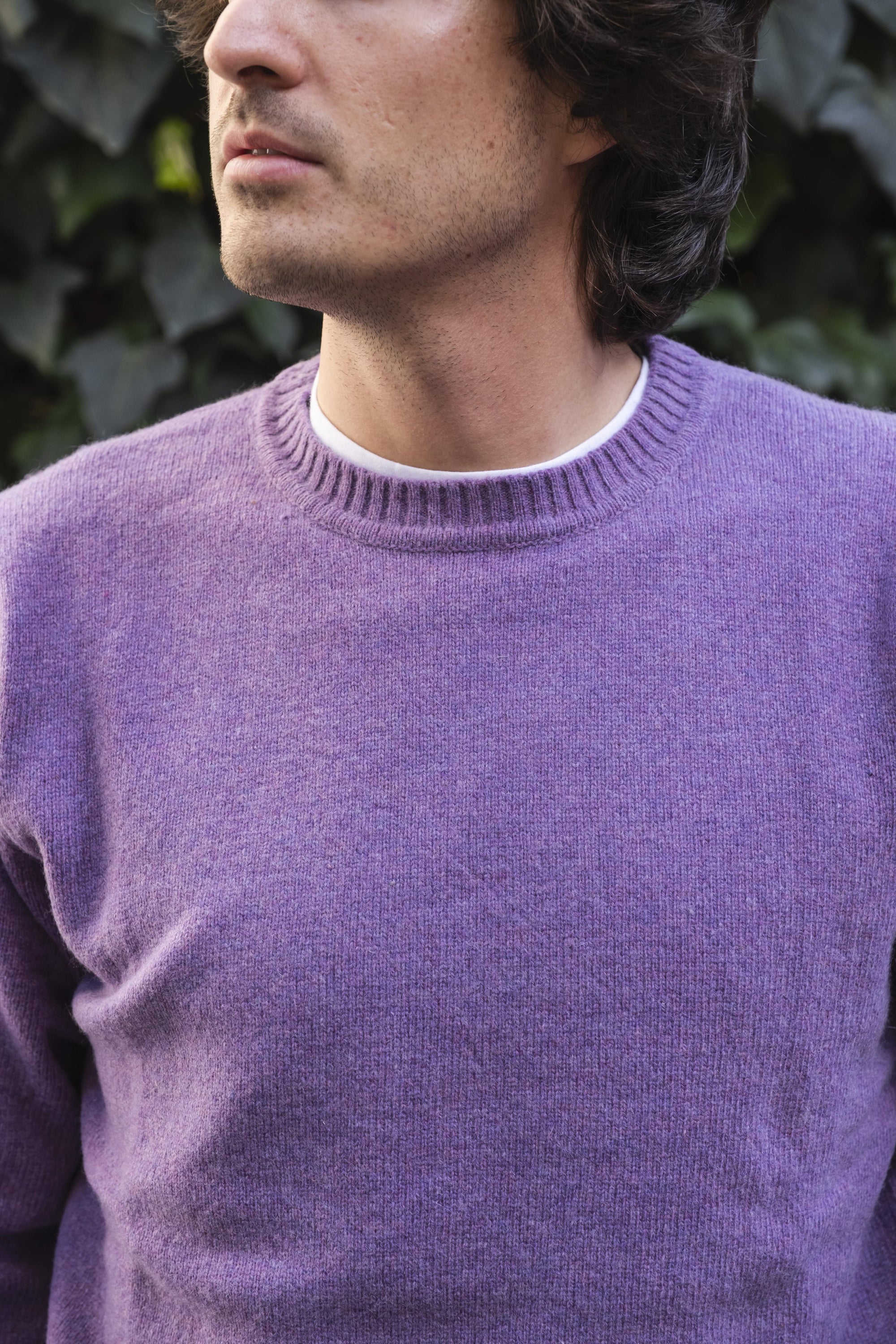 Girocollo Misto Lana CHARLIEWN8227 MALVA Impure