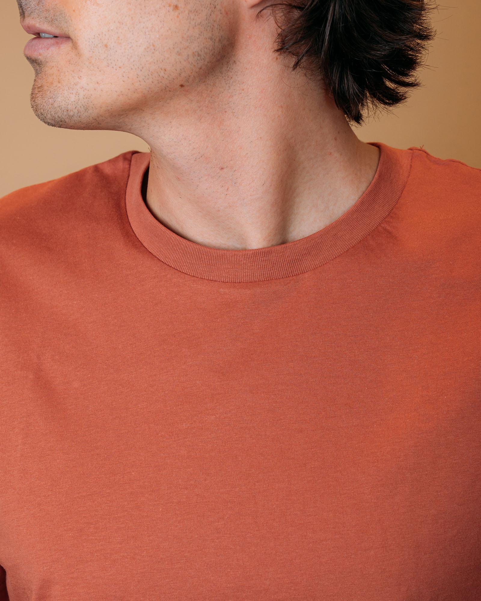 T-shirt Travis Tee Heritage Brown STTU169 C730 Gaffi 